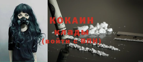 ALPHA PVP Богородицк
