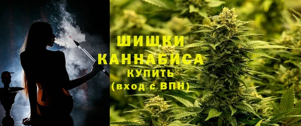 ПСИЛОЦИБИНОВЫЕ ГРИБЫ Богородск