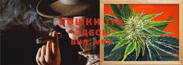 ALPHA PVP Богородицк