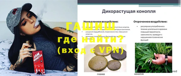 ешки Белокуриха