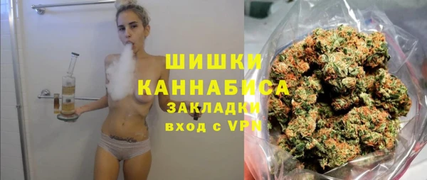ALPHA PVP Богородицк