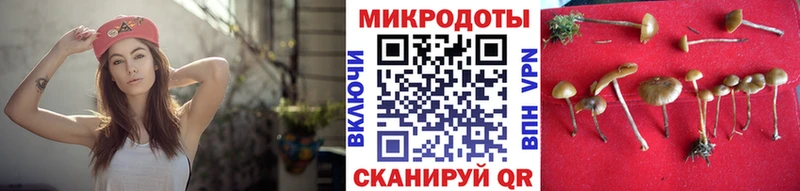 Псилоцибиновые грибы Cubensis Павловск