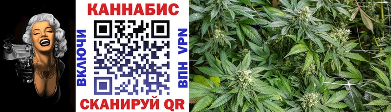 Канабис LSD WEED  darknet наркотические препараты  Павловск  цены  